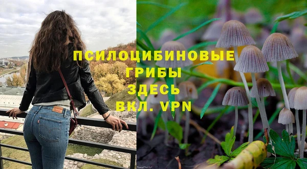 spice Балахна