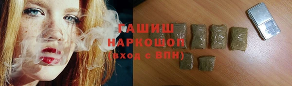 индика Арсеньев