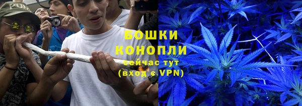 индика Арсеньев