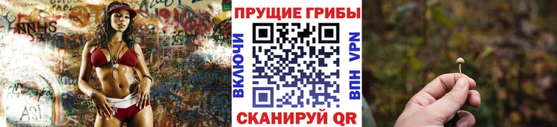 Галлюциногенные грибы мицелий  kraken ТОР  Тейково 